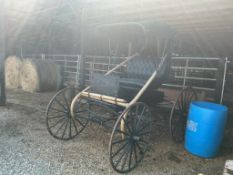 Dr. Buggy for Horse