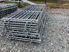 Galvanized Fence