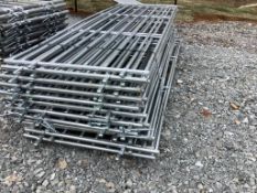 Galvanized Fence