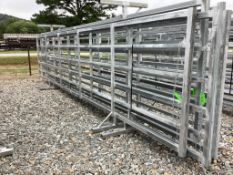 24ft X 6ft Galvanized Free Standing Corral Panels