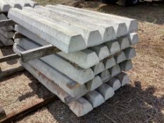 Concrete Curb Stops