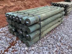 8ft Fence Post