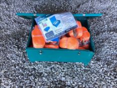 Land Honor Flat Pack Tool Box