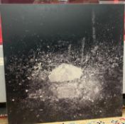 Photograph Negative on Board