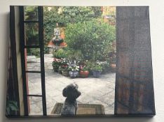 Set of 3 Gallery Wrapped Photographs