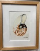 Colored Pencil Drawing signed Robinson