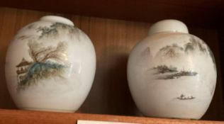 Pair of Handpainted Chinese Porcelain Urn