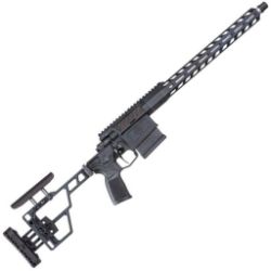 Online Firearms and Ammo Auction