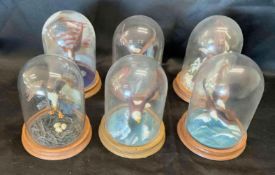 6 Glass Encased Eagle Statues