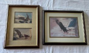 2 Framed Eagle Pictures