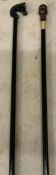2 Handmade Walking Canes with Decorative Handles