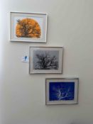 Triptic Linoleum Block Prints signed Lauren Hupp