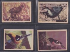 Trade cards, USA, Oak Manufacturing Co, 61 cards featuring birds (40 cards) & Animals (21 cards) (