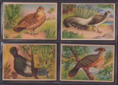 Trade cards, France, Chicoree Trappistes, Vincart & Verburgh, Les Oiseaux ( Birds ), 2nd series
