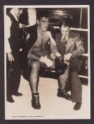 Trade card, Wayfarer Raincoats, photographic supplement, 210mm x 160mm, b/w image with Boxer in