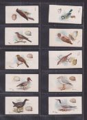 Cigarette cards, Churchman Birds & Eggs (set 50 cards) (a few fronts slightly grubby, gen gd)