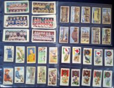 Cigarette & Trade cards, Large quantity approx. 22kg of cards in plastic sleeves (several thousand
