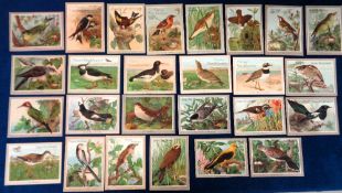 Trade cards, Van Houten, Van Houten's Aviary, large cards, 100mm x 135mm, French language, 26