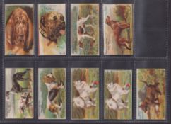 Trade cards, Spratt's, Prize Dogs, nine type cards each one with a different back advert, Bloodhound