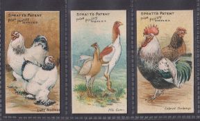 Trade cards, Spratt's, Prize Poultry, three cards all with French language adverts to backs, Light