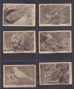 Trade cards, Canada, Saratoga Products, Bird Pictures, L' size (27/32, missing nos 14, 22, 26,