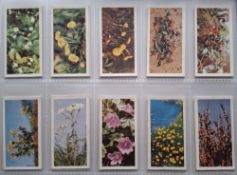 Trade cards, Brooke Bond, mixture contained in 3 modern albums, sets part sets and odds, includes