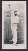 Cigarette card, D & J MacDonald, Cricketers, type card, F W Tate (sl mark gen gd) (1)