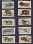 Cigarette cards, Will's Overseas Green Star & Circle backs Wild Animals of the World 47/50 (