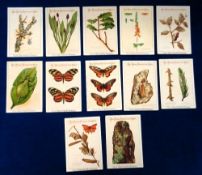 Trade cards, Van Houten, How Nature Protects the Weak, large cards, 133 x 92mm (set, 12 cards) (gd/