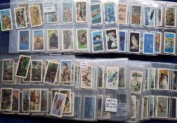 Trade cards, Brooke Bond Canada, selection in plastic sleeves, 5 sets including Indians of Canada,