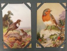 Postcards, British Birds, 95 artist drawn cards, most by Roland Green, housed in a vintage album (