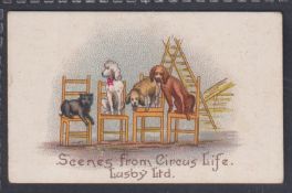 Cigarette card, Lusby, Scenes from Circus Life, type card, Ref H264 picture no 15 (gd) (1)