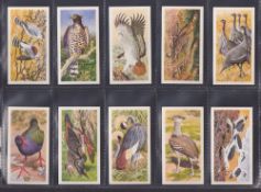 Trade cards, Brooke Bond Rhodesia African Birds (set 50 cards) (gen vg)