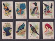 Trade cards, USA, Church & Dwight, Beautiful Birds, New Series, 'M' size (59/60, missing no 59) (