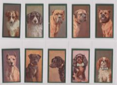 Cigarette cards, Taddy, Dogs (set, 50 cards) (gd/vg)