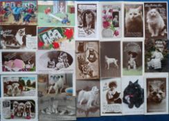 Postcards, Cats and Dogs, a selection of 80 cards, RPs, greetings and art cards featuring cats and