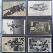 Postcards, Africa, a large collection in modern album of approx. 600 cards, inc. South Africa,