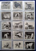 Cigarette cards, Mixture approx. 1000 cards in 2 large modern albums and plastic sleeves. Issuers