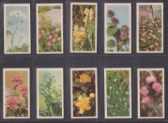 Trade cards, Brooke Bond, Wild Flowers 1st series (set 50 cards) all are a very cream card
