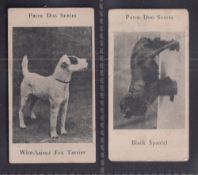 Trade cards, Barratt's, Prize Dog Series, two cards, Black Spaniel (creased, fair) & Wire-Haired Fox