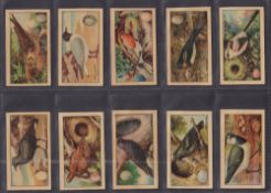 Trade cards, DC Thomson, Wizard Series British Birds & Their Eggs (set 20 cards) (gd/vg)