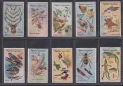 Cigarette cards, E Robinson & Son, Nature Studies (set 40 cards) (a couple with slight marks, gen