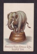 Cigarette card, Lusby, Scenes from Circus Life, type card, Ref H264 picture no 9 (gd) (1)