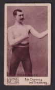 Cigarette card, USA, Mayo, Prize-fighters (Caption at bottom), type card, Peter Maher (some