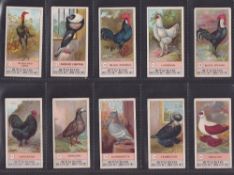 Cigarette cards, Smith's Fowls Pigeons & Dogs (set 50 cards) (gen gd a few fair)