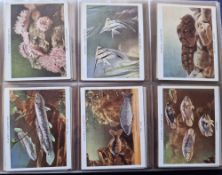 Cigarette cards, Player's 38 sets contained in three modern albums including Wooden Walls, Useful
