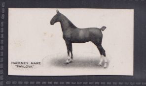 Cigarette card, Taddy, Famous Horses & Cattle, type card, no 33 Hackney Mare, 'Pavlova' (vg) (1)