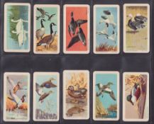 Trade cards, Brooke Bond USA, Birds of North America (set 48 cards) (vg)