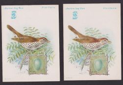 Trade cards, Singer Sewing Machines, Birds, American Song Birds, 21 cards (larger than 'P' size), 16