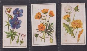 Cigarette cards, E Robinson & Son Wild Flowers 13/25 (a few slightly grubby, gen gd)